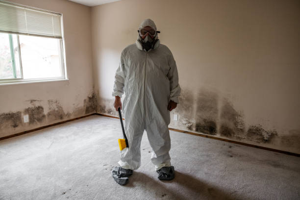 Best Mold Testing and Inspection Services in Oak Hill, FL